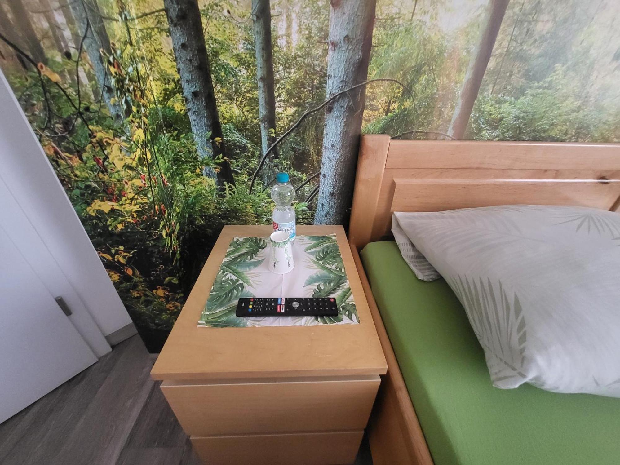 Seelze-Letter Monteurzimmer / Apartment / Messezimmer 部屋 写真